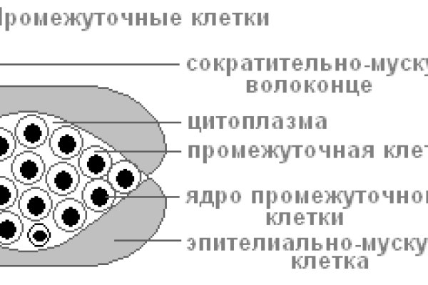 Кракен оф сайт kr2web in