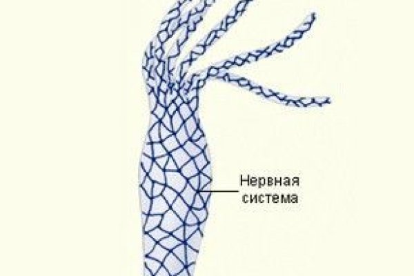 Каталог сайтов даркнет